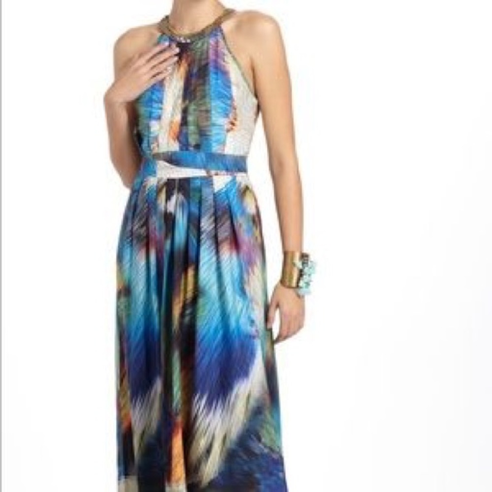 Ranna Gill Tropicalia dress from Anthropologie